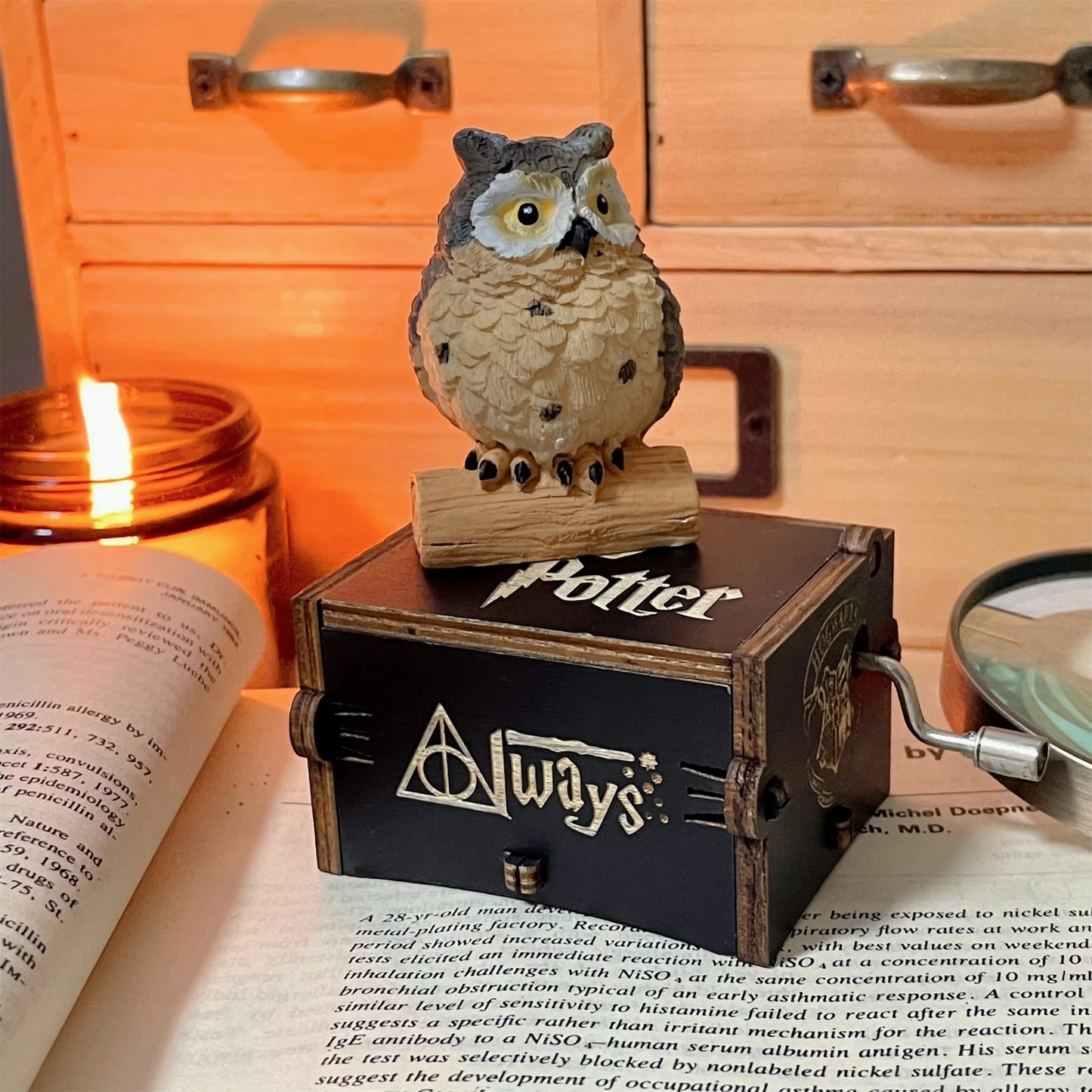 Boîte à musique  Harry Potter hedwige